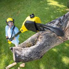 Lawn Maintenance Plans in Webster, SD